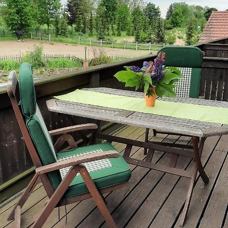 Schoenermarker Pferdeparadies Niederlandin Екстериор снимка